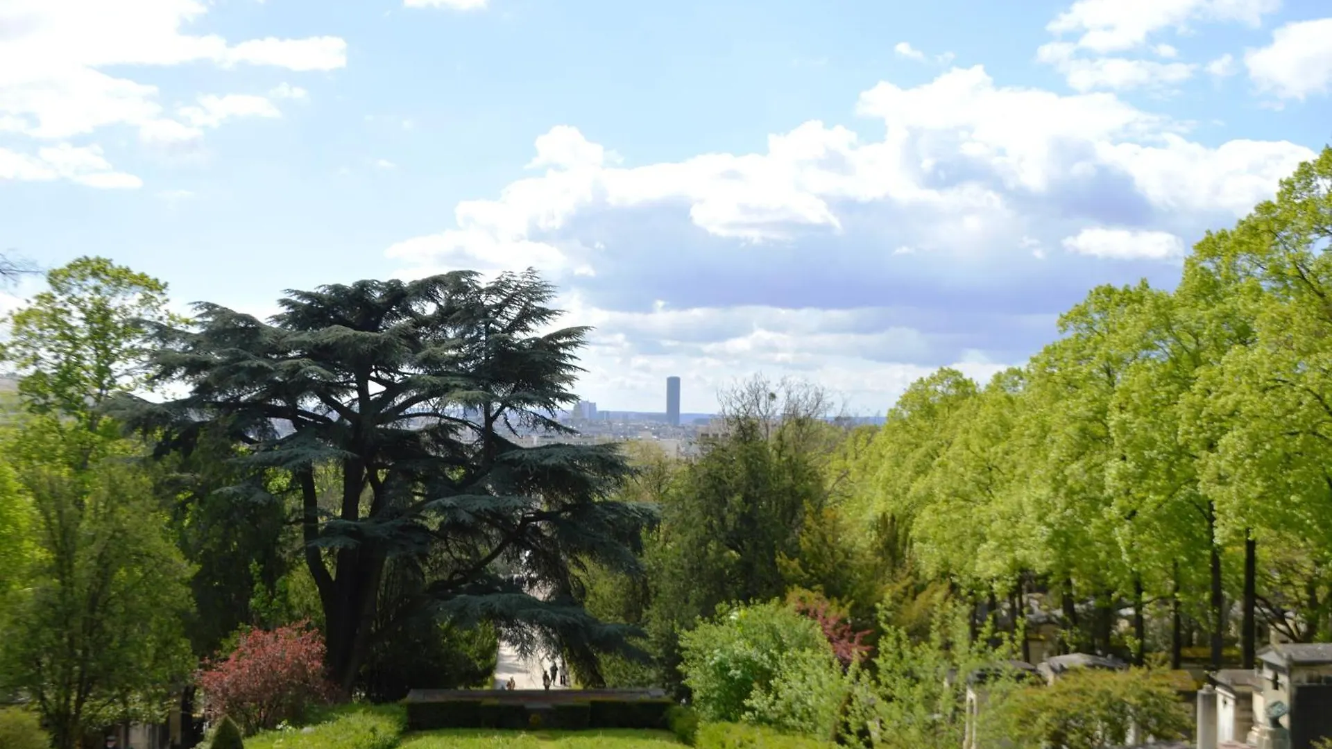 Dans Homestay Paris